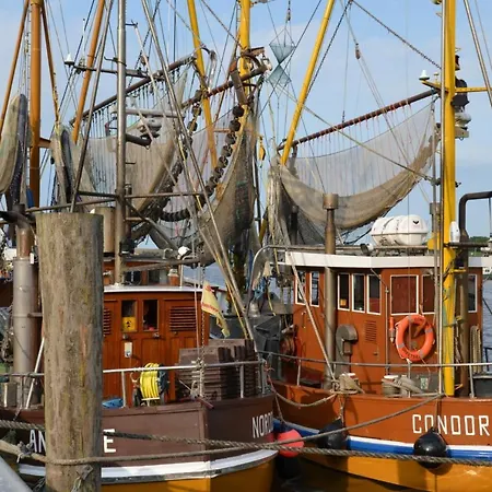Hafenperle Krummhoern