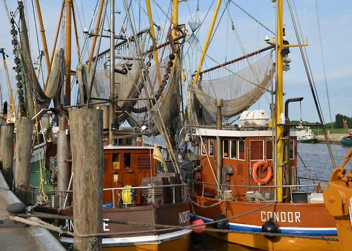 Hafenperle Krummhörn